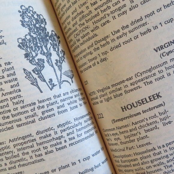 The Herb Book John Lust Vintage Paperback (B341) - Picture 5 of 7